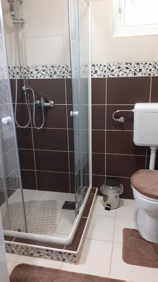 Borostyan Vendeghaz Apartment Tiszaug Ngoại thất bức ảnh