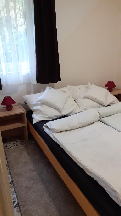Borostyan Vendeghaz Apartment Tiszaug Ngoại thất bức ảnh